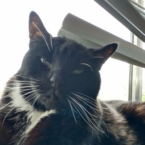 Meet your Posher, Kathleen